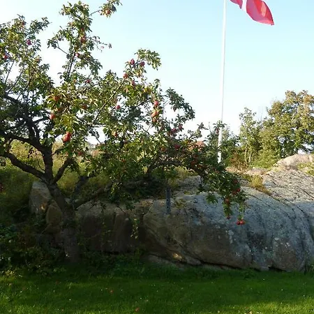 Tines Gjestehuz 2*